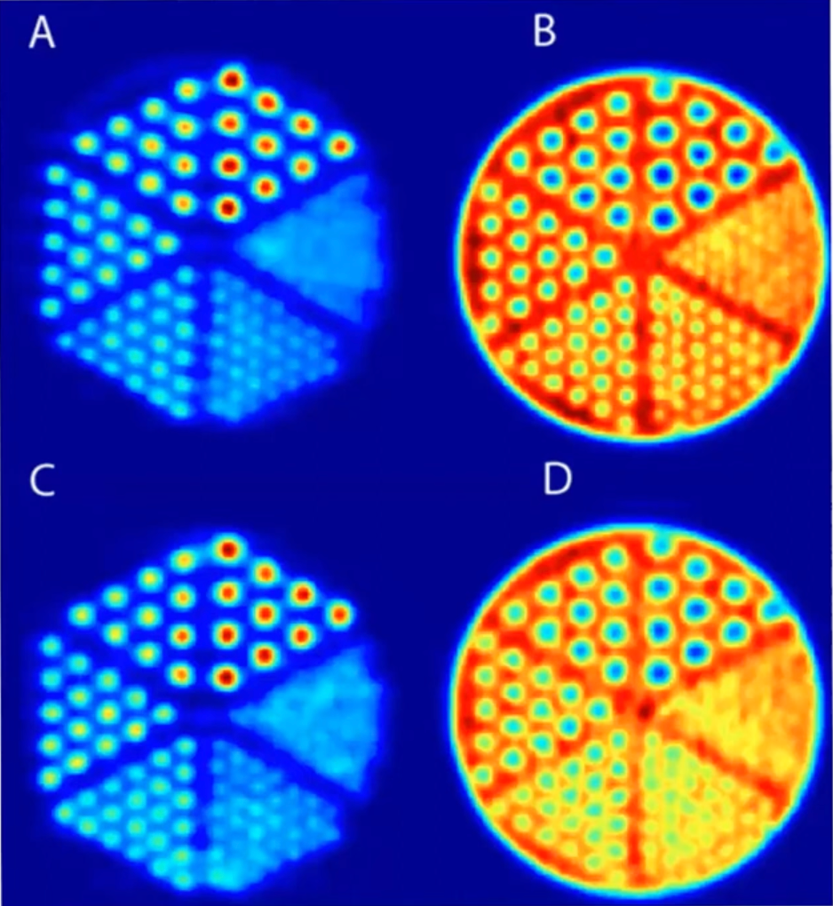 Dra. Cristina Matushita
